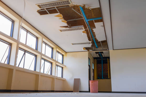Professional Water damage restoration in DC