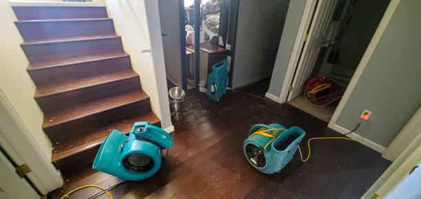 Best Carpet water damage restoration  in Washington, DC