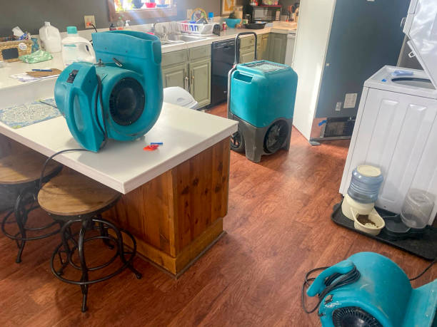 Best Professional water damage repair  in Washington, DC