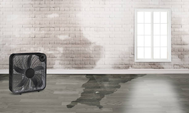 Best Fire Damage Restoration  in Washington, DC