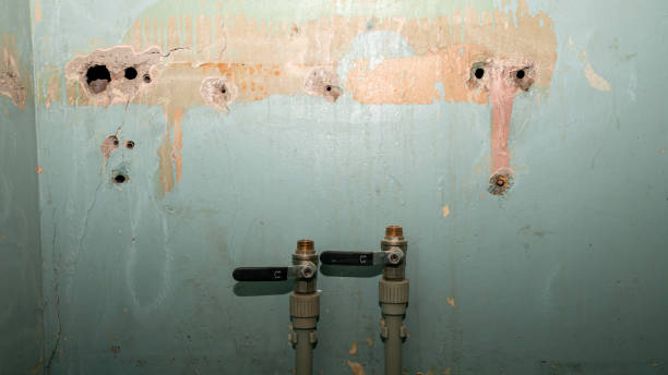 Best Water damage restoration process  in Washington, DC