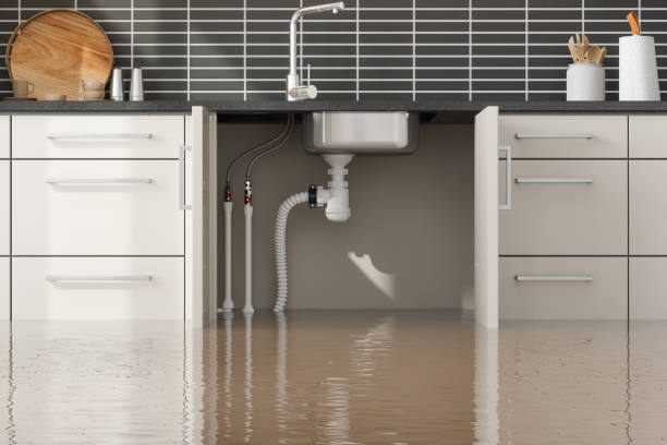 , DC Water damage restoration Company