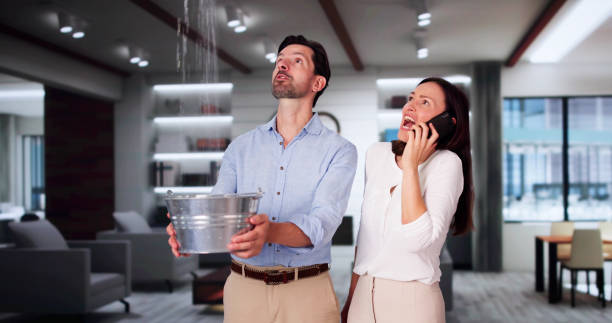 Best Basement water damage restoration  in Washington, DC