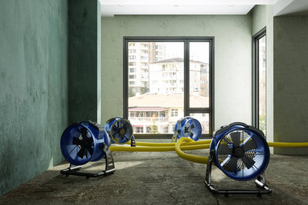 Best Water damage cleanup near me  in Washington, DC
