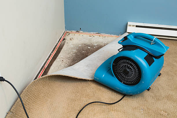  Washington, DC Water damage restoration Pros